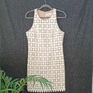 Eliza J  Ivory Crochet Mini Shift  Dress Size 8